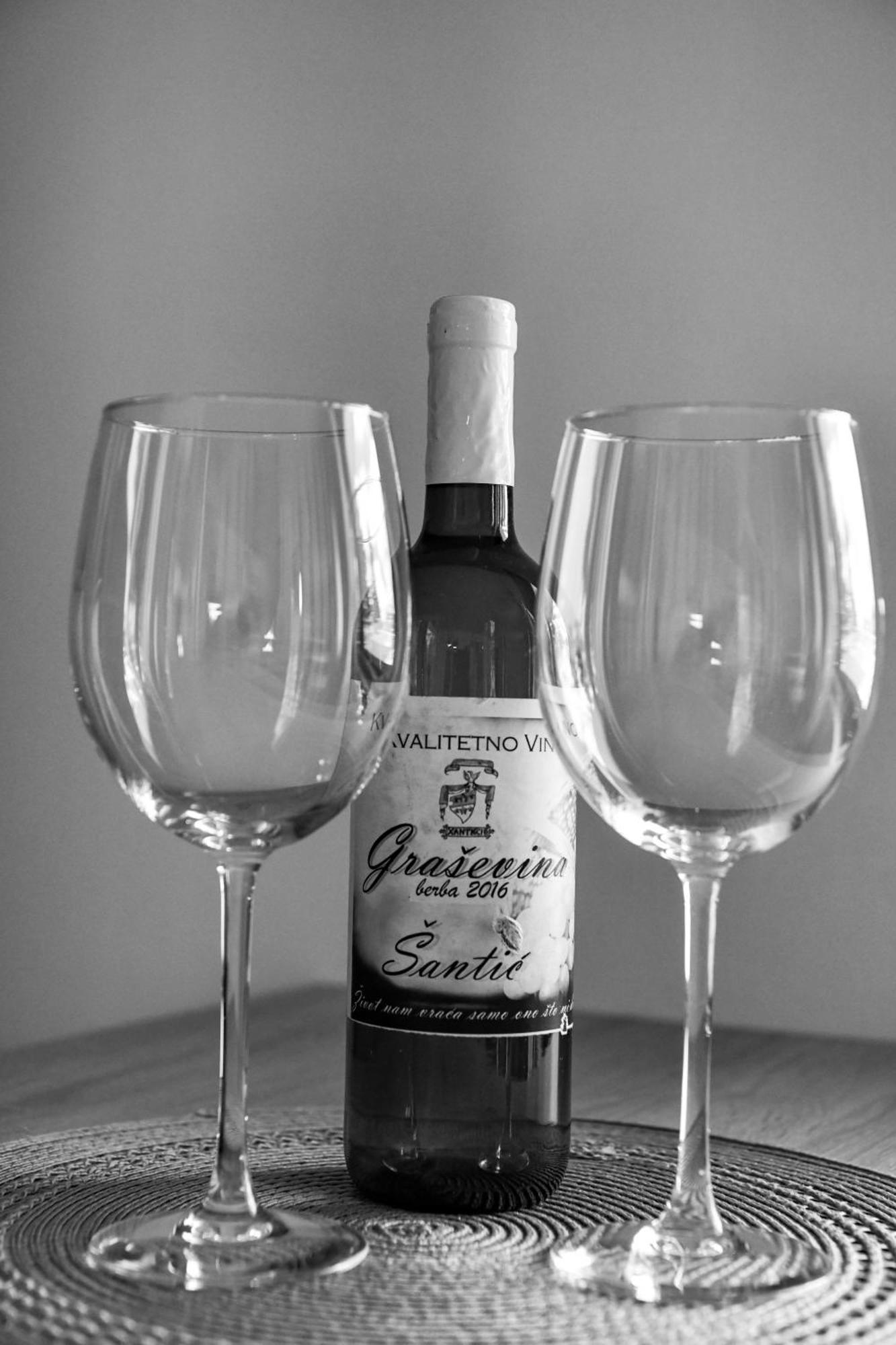 Villa Elena 格拉博瓦茨 外观 照片